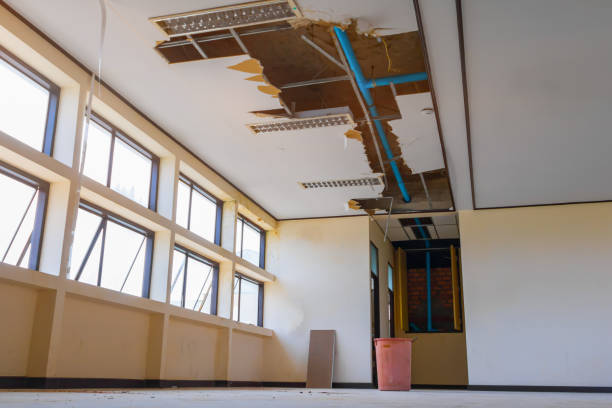 Best Mold removal after water damage  in Pine Grove, CA