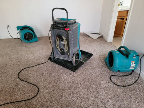 Water damage restoration mold remediation in Pine Grove, CA