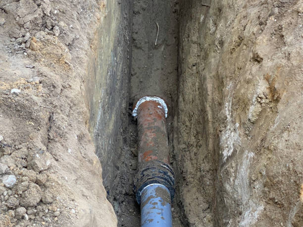 Best 24/7 water damage repair  in Pine Grove, CA