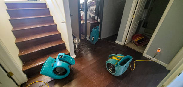 Best 24-hour water damage restoration  in Pine Grove, CA