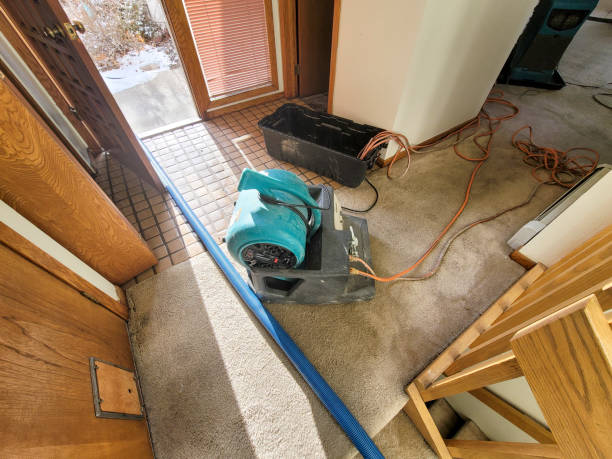 Water damage restoration insurance claims in Pine Grove, CA