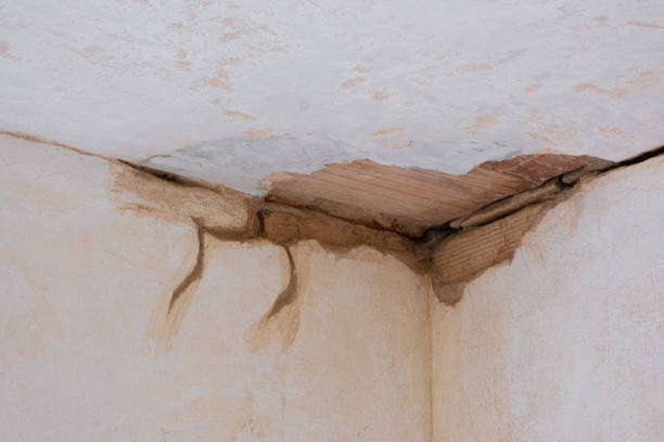Best Residential water damage restoration  in Pine Grove, CA
