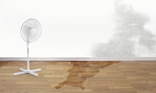 Best Sewage cleanup and water damage restoration  in Pine Grove, CA