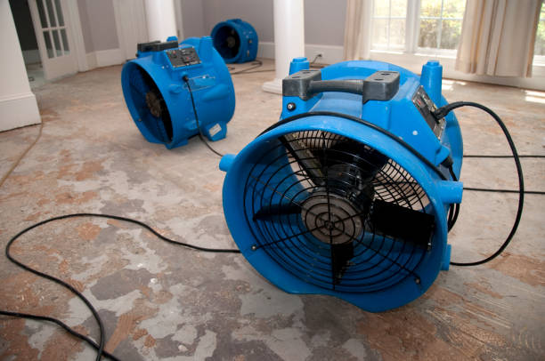 Best Water damage cleanup near me  in Pine Grove, CA