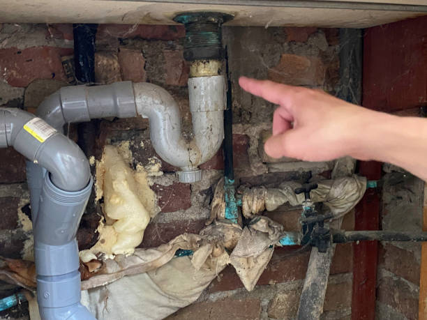 Best Carpet water damage restoration  in Pine Grove, CA
